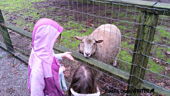 Two girls petting a sheep.