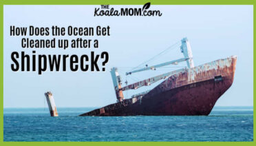 How Does the Ocean Get Cleaned up after a Shipwreck? Photo of ship sinking by Jason Blackeye on Unsplash